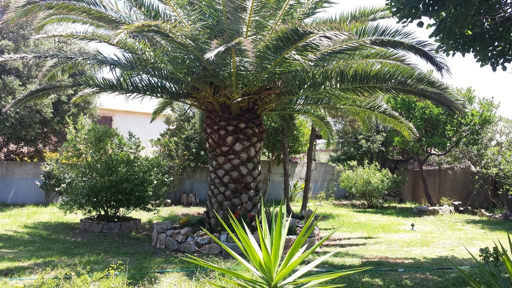 Villa Gandamar Santa Teresa Gallura Kültér fotó