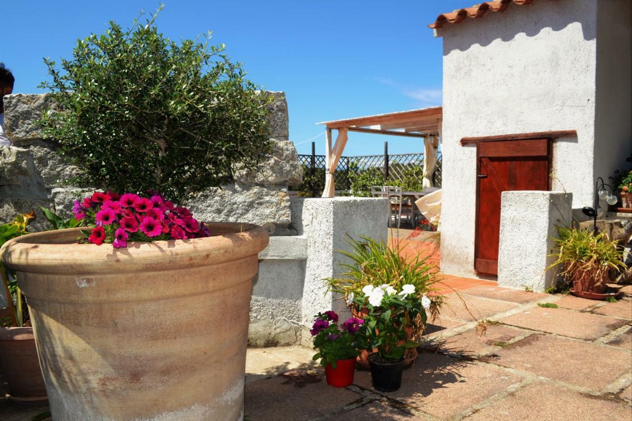 Villa Gandamar Santa Teresa Gallura Kültér fotó